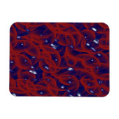 Berrythrocyte Vinyl Laminated Magnet (Horizontal)