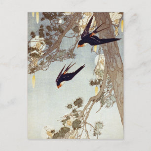 Bertha Boynton Lum - Das Land des Blaumeise 1916 Postkarte