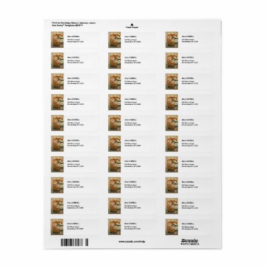 Berthe Morisot - Der Käfig (Vorne)