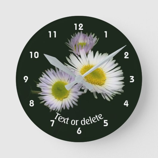 Berufkraut Gänseblümchen Wildblumen Personalisiert Runde Wanduhr (Vorderseite)
