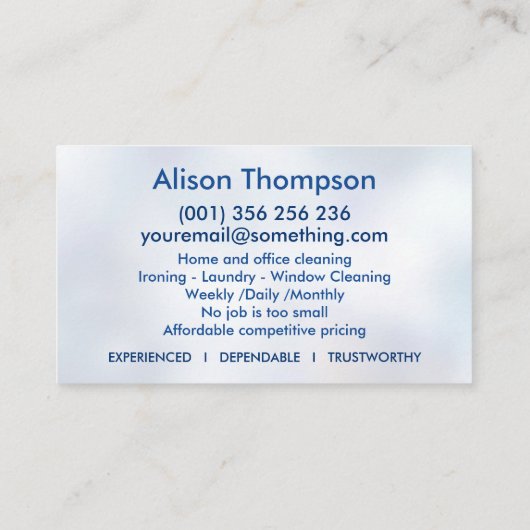 Berufliche Hausreinigung Visitenkarte (Rückseite)