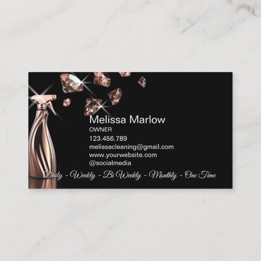 Berufliche Hausreinigung Visitenkarte (Rückseite)