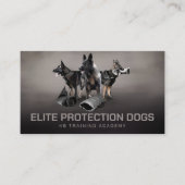 Berufliche K9-Schulung Visitenkarte (Vorderseite)