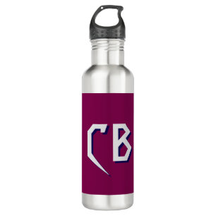 Berufliche moderne Minimalistische Monogramm-Initi Edelstahlflasche