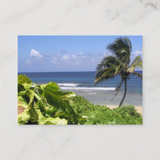 Berufliche Reise-Geschäfts-Karte Visitenkarte (Vorderseite)