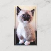 Berufliche Tierpflege mit austauschbarem Foto Visitenkarte (Vorderseite)