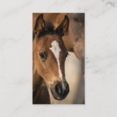 Berufliche Visitenkarte für Pferdeställe Terminkarte (Vorderseite)