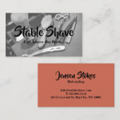 berufliche Visitenkarten Visitenkarte (Vorne/Hinten)