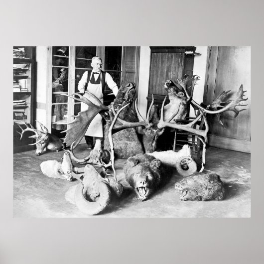 Beruflicher Taxidermist: 1923 Poster (Vorne)