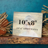 Berufliches Bildvorlage 10 x 8 Seitenverhältnis Fotoplatte (Seite)