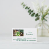 Berufliches Geschäft, Anschrift, Telefon, Website Visitenkarte (Stehend Vorderseite)