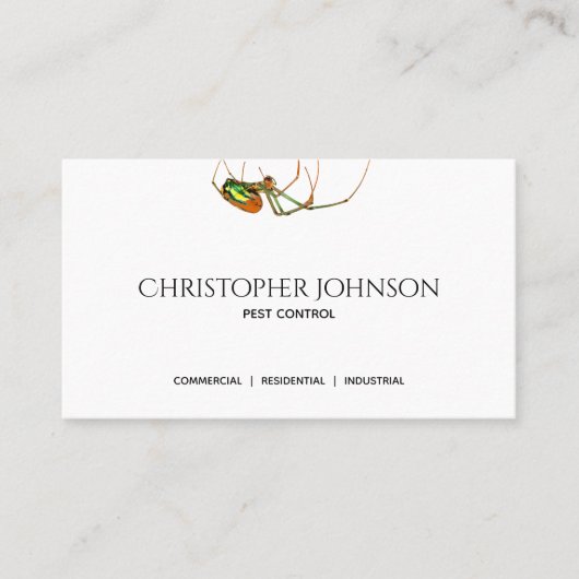 Berufliches Visitenkarte (Vorderseite)