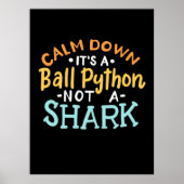 Beruhigen Sie sich auf eine kleine Python Poster (Vorne)