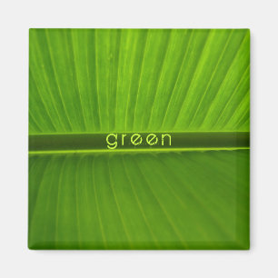 beruhigend grün magnet