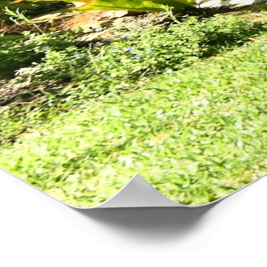 beruhigend poster (Ecke)