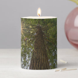 Beruhigende Sequoia mit Sonnenbrand-Foto-Säule Stumpenkerze