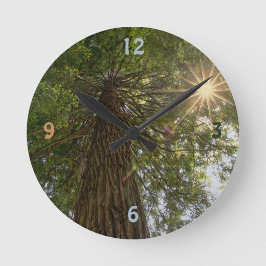 Beruhigende Sequoia mit Sunburst Nature Foto Runde Wanduhr (Vorderseite)