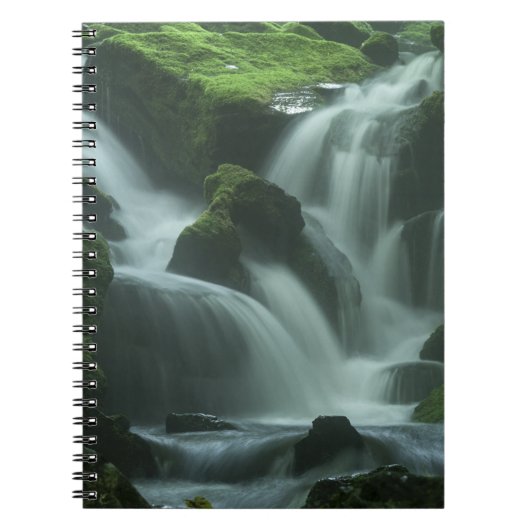 Beruhigender Wasserfall Notizblock (Vorderseite)