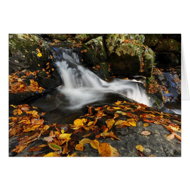 beruhigendes Wasser (Vorderseite (Horizontal))