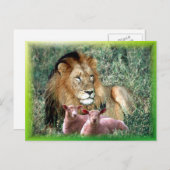 Beruhigt das Soul - Postkarte (Vorne/Hinten)