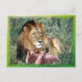 Beruhigt das Soul - Postkarte