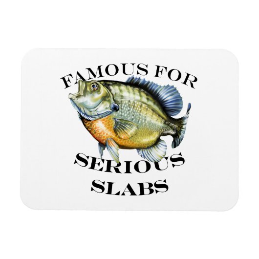 Berühmt für das schwere Brammen Magnet (Horizontal)