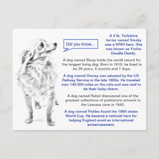 Berühmte Dogs Fun Fakten Postkarte (Vorderseite)