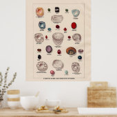 Berühmte Edelsteine und Wertvolle Steine Poster (Küche)