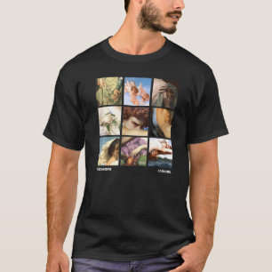 Berühmte Gemälde von Alexandre Cabanel Gitter T-Shirt
