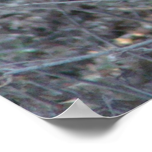 Berühmte Worte: Mut - Hirsch - Poster (Ecke)