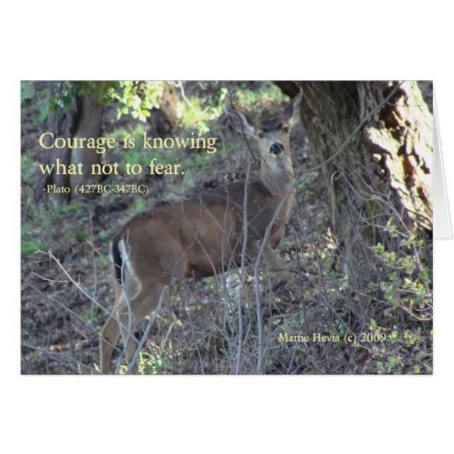 Berühmte Worte: Mut - Hirsche Grußkarte (Vorderseite (Horizontal))