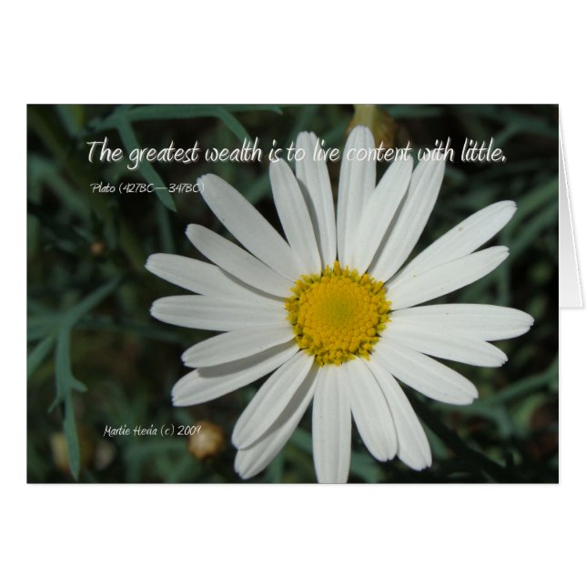 Berühmte Wörter: Wohlstand - Serie der White Daisy (Vorderseite (Horizontal))