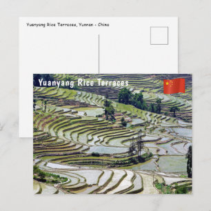 Berühmte Yuanyang-Reisterrassen - Yunnan, China Postkarte