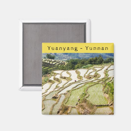 Berühmte Yuanyang Rice Terraces - Yunnan, China Magnet (Vorderseite/Rückseite)