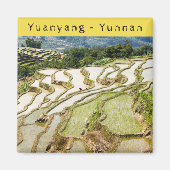 Berühmte Yuanyang Rice Terraces - Yunnan, China Magnet (Vorne)