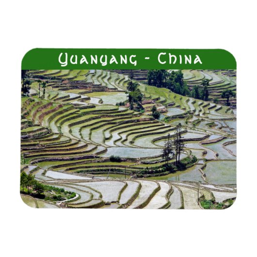 Berühmte Yuanyang Rice Terraces - Yunnan, China Magnet (Horizontal)