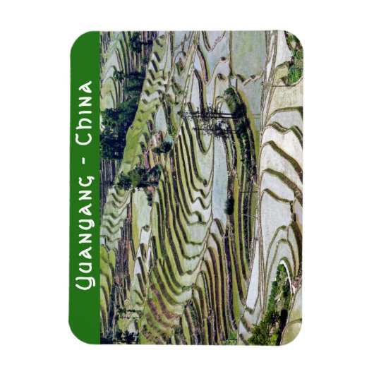Berühmte Yuanyang Rice Terraces - Yunnan, China Magnet (Vertikal)