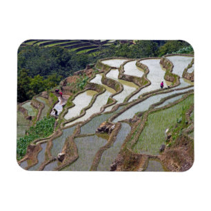 Berühmte Yuanyang Rice Terraces - Yunnan, China Magnet