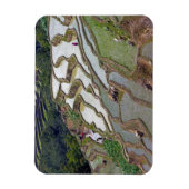 Berühmte Yuanyang Rice Terraces - Yunnan, China Magnet (Vertikal)