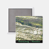 Berühmte Yuanyang Rice Terraces - Yunnan, China Magnet (Vorderseite/Rückseite)