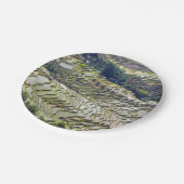 Berühmte Yuanyang Rice Terraces - Yunnan, China Pappteller (Schrägansicht)