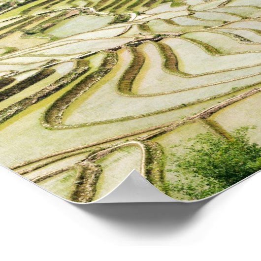 Berühmte Yuanyang Rice Terraces - Yunnan, China Poster (Ecke)