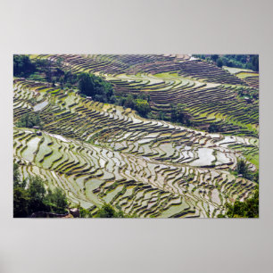 Berühmte Yuanyang Rice Terraces - Yunnan, China Poster