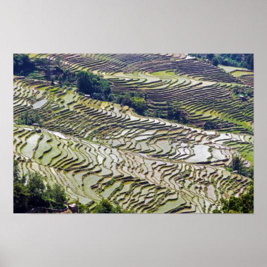 Berühmte Yuanyang Rice Terraces - Yunnan, China Poster (Vorne)