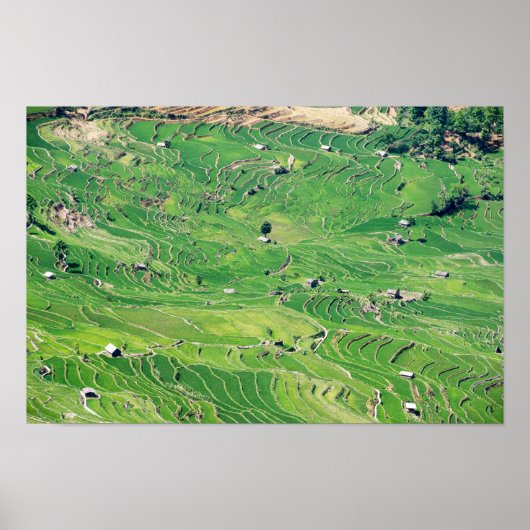 Berühmte Yuanyang Rice Terraces - Yunnan, China Poster (Vorne)