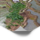 Berühmte Yuanyang Rice Terraces - Yunnan, China Poster (Ecke)