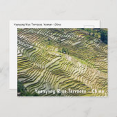 Berühmte Yuanyang Rice Terraces - Yunnan, China Postkarte (Vorne/Hinten)