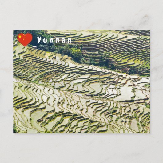 Berühmte Yuanyang Rice Terraces - Yunnan, China Postkarte (Vorderseite)