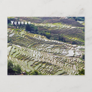 Berühmte Yuanyang Rice Terraces - Yunnan, China Postkarte