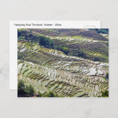 Berühmte Yuanyang Rice Terraces - Yunnan, China Postkarte (Vorne/Hinten)